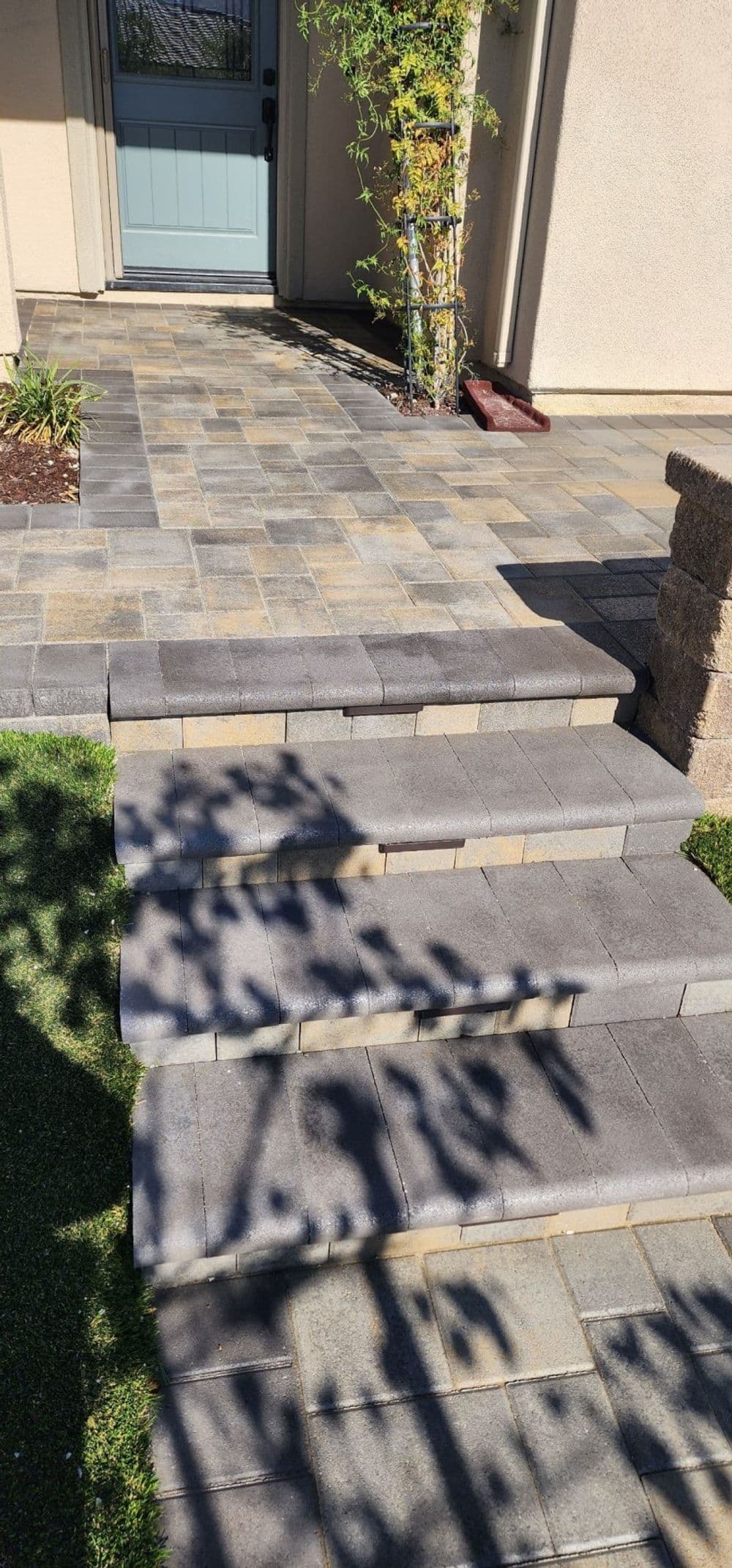 Paved walkway with steps leading to a home entrance and landscaped greenery.