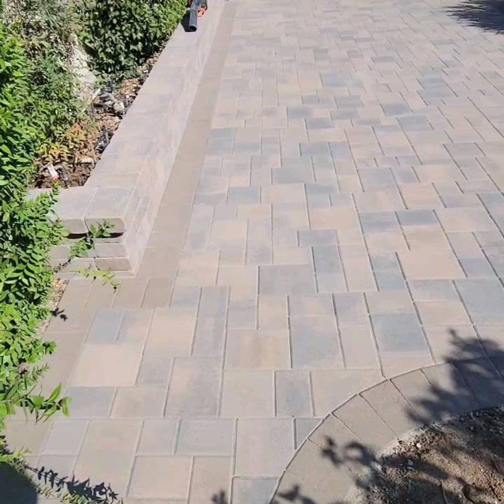 Paved walkway with interlocking stones bordered by plants and a low wall.