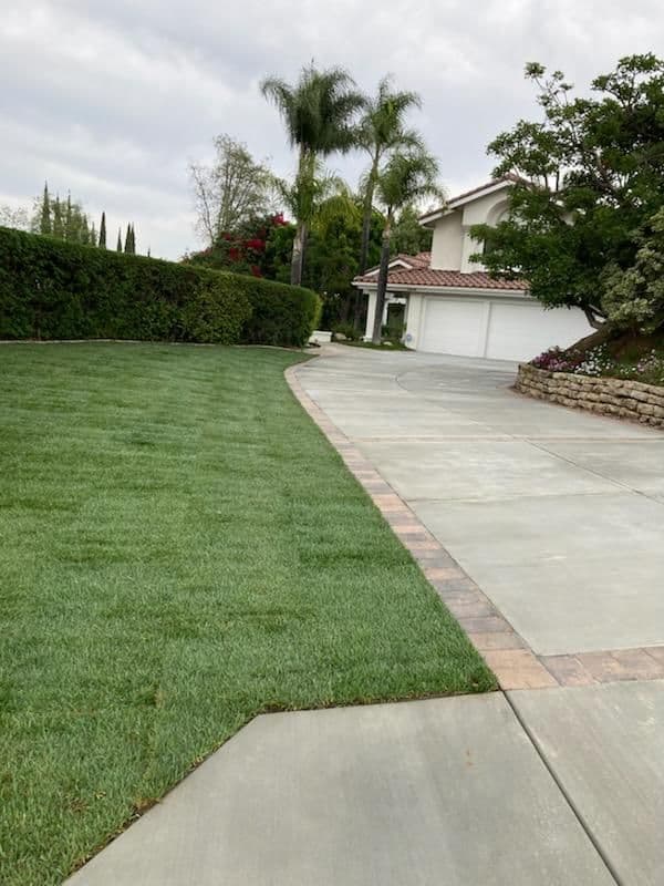 Project Concrete Driveway Installation and Lawn Revamp in Riverside image